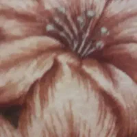 عکس ندارم کلید سیوچ دسته کلید ماشین گمشده