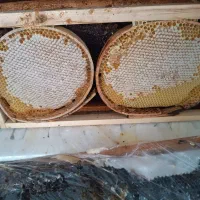 عسل طبیعی به زمانت آزمایشگاه