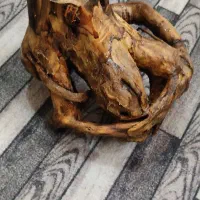 چوب آبنوس آکواریوم تعویض با سهره قناری مرغ مینا