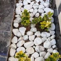 ویلای-لاکچری