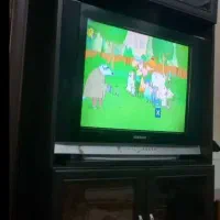 تلویزیون ۲۹ اینچ سامسونگ