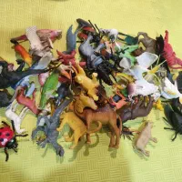 حیوانات اهلی و وحشی و حشرات و پرندگان