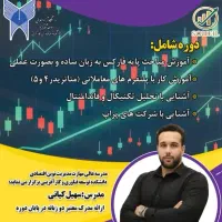 آموزش مقدماتی فارکس و بازار جهانی و درآمد دلاری