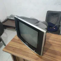تلویزیون