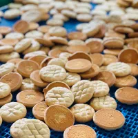 استخدام نیرو کاری در شهرک صنعتی (آقایون،خانم ها)