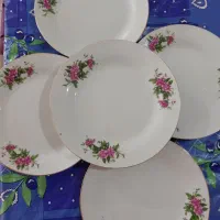 ظروف پذیرایی|ظروف سرو و پذیرایی|تهران, امام حسین|دیوار