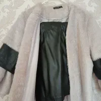 پالتو|لباس|ملایر, |دیوار