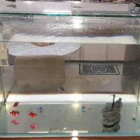 آکواریوم ریملس حرفه ای