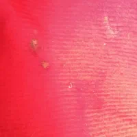 موکت|موکت|سبزوار, شرق کال شمالی|دیوار