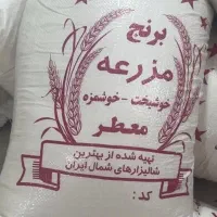 برنج فجر سوزنی اعلا سورت شده|خوردنی و آشامیدنی|مزرعه کتول, |دیوار