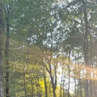 باغ-شهری-کدیون-بهترین-مجموعه-پردیس-دانشگاه-شیراز