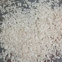 برنج محلی