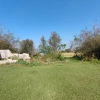 زمین 7900متری باغی و کشاورزی کوچصفهان