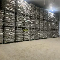 گاراژ ۷۵۰ متری دولت آباد اطراف جگر فروش ها