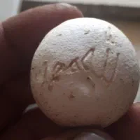 نیازمند کارگر ساده اقا حداقل ۳۰ میلیون