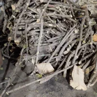 خریدار انواع چوب زغالی هرس چوب و کف بری و خشک بری