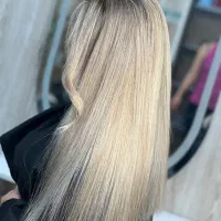 دستیار مبتدی و نیمه حرفه ای