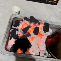 ذغال صادراتی آیلین تاج ترکیه