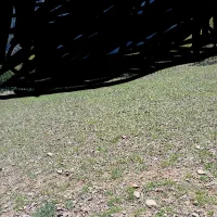 به سگ گیرنده نیاز دارم