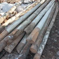 چوب سقفی در فریمان