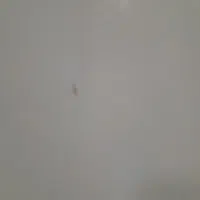 سیم کارت کد صفر