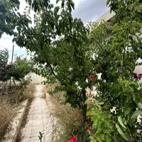 ویلا درود