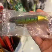 بالا ترین تنوع لور ماهیگیری