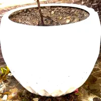 گلدان سفید مدرنیته