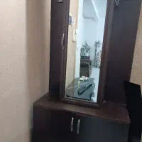 جاکفشی ایینه دار