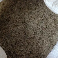 بادام کوهی و آویشن کوهی