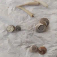 سنگ قیمتی|کلکسیون اشیاء عتیقه|فولادشهر, B7|دیوار