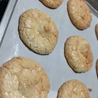 شیرینی نارگیلی تازه