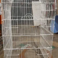 قفس بزرگ|پرنده|رشت, ولکس|دیوار