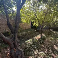 باغچه ۱۰۳۰متری زیبادشت فرخ اباد|فروش خانه و ویلا|محمدشهر, زیبادشت|دیوار