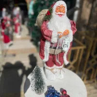 فروش انواع درختچه کریسمس و ملزومات کریسمس