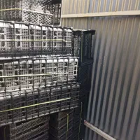 سبد میوه ای