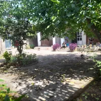 فروش ملک|فروش زمین و ملک کلنگی|رشت, جانبازان|دیوار