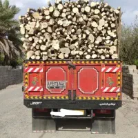 خریدار چوب مرکبات و مجوز دار گز