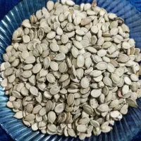 تخمه هندوانه