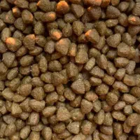 غذای گربه فیدار۲۹۵۰|لوازم جانبی حیوانات|تهران, صادقیه|دیوار