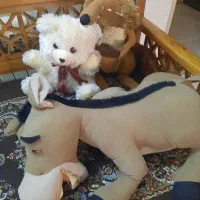 تعدادی عروسک نو