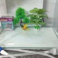 اکواریوم سیشه خم درحد نو