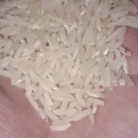 صد کیلو برنج طارم با کیفیت هزار درصدی