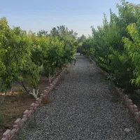 اجاره روزانه/هفتگی/ماهانه ویلا ۱۰۰۰ متری|اجارهٔ کوتاهمدت ویلا و باغ|نظرآباد, قوچ حصار|دیوار