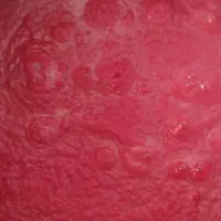 رب گوجه خانگی کیلویی ۹۵|خوردنی و آشامیدنی|اندیمشک, |دیوار