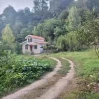 اجاره-باغ-ویلای-جنگل-هیرکانی-روبه-رودخانه