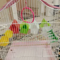 قفس پرنده با وسایل کامل