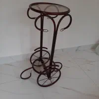زیست‌فناوری آهنی وچوبی