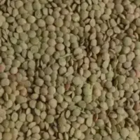 حبوبات درجه یک|خوردنی و آشامیدنی|قم, امامزاده ابراهیم|دیوار