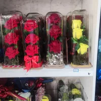 گل مخمل|صنایع دستی و سایر لوازم تزئینی|تهران, بهداشت|دیوار